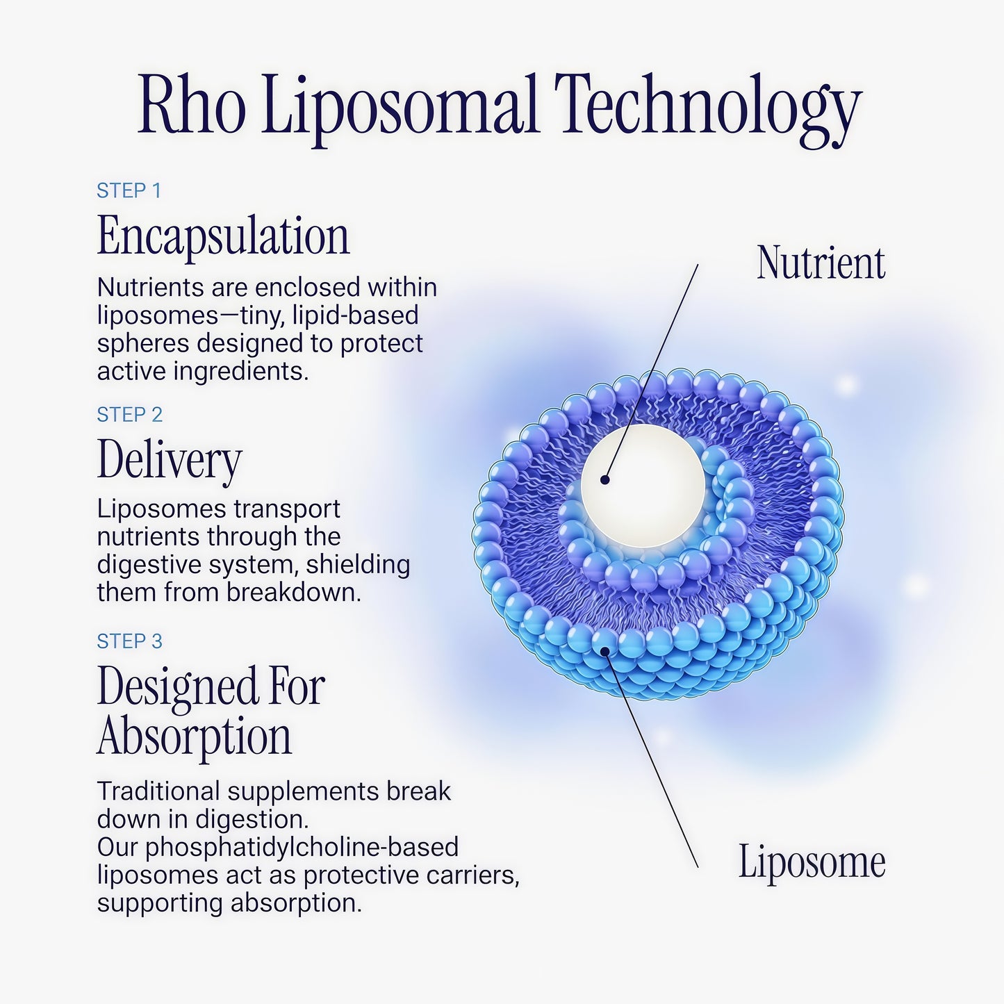 Rho Nutrition Liposomal Glutathione - Ultra High Absorption Liquid Glutathione Supplement - Supports Natural Detoxification, Immune System, Skin Health, Mental Clarity & Overall